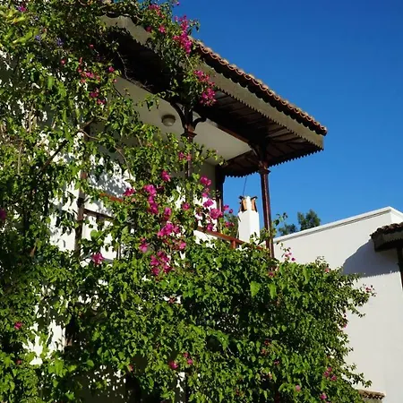 Habitación en casa particular Totelya