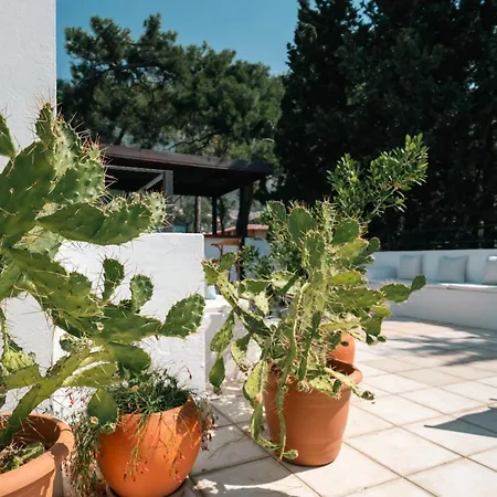 Totelya Homestay szállás