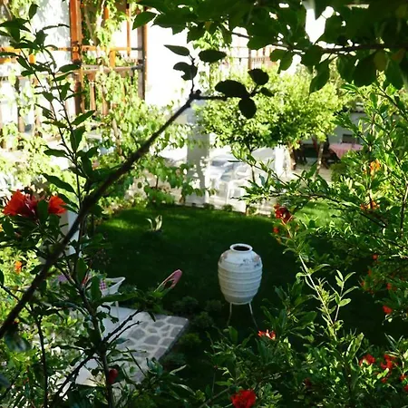 Totelya Homestay szállás *