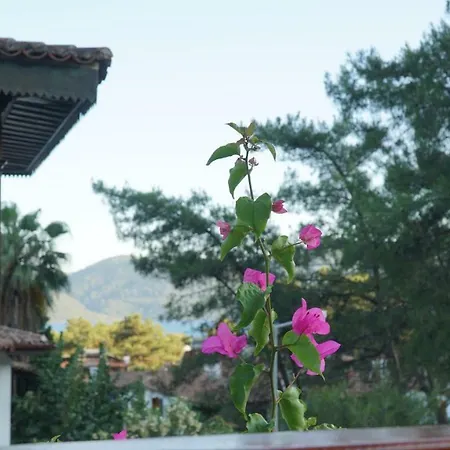 Totelya Homestay szállás *