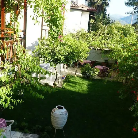 Totelya Homestay szállás