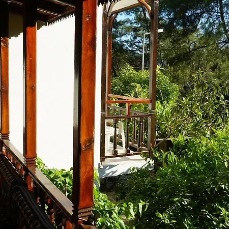 Totelya Homestay szállás Akyaka