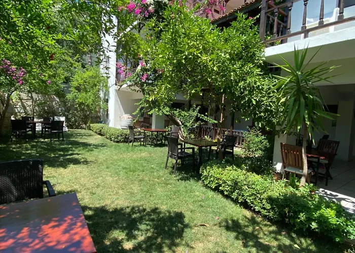 Totelya Акьяка