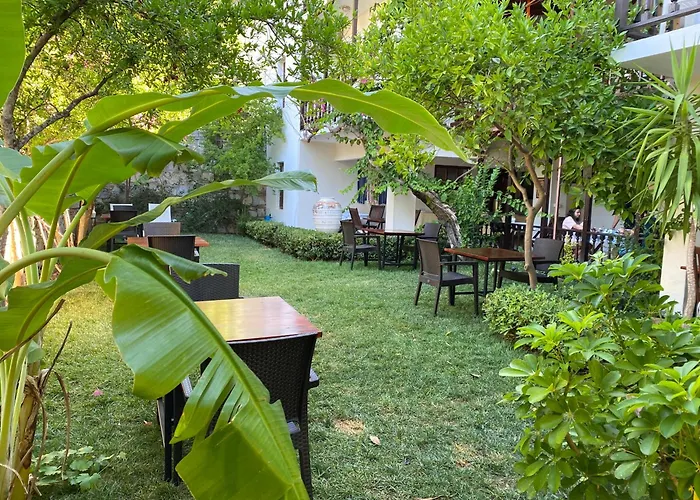 Totelya * Акьяка