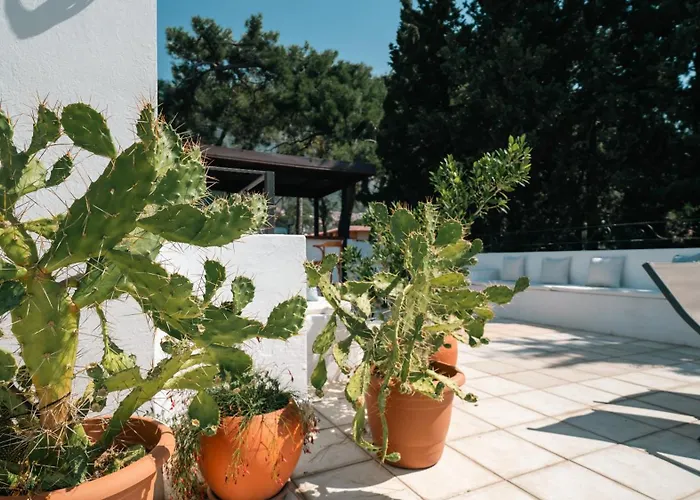 Totelya Проживание в семье