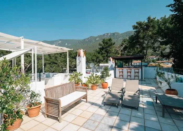 Totelya Акьяка