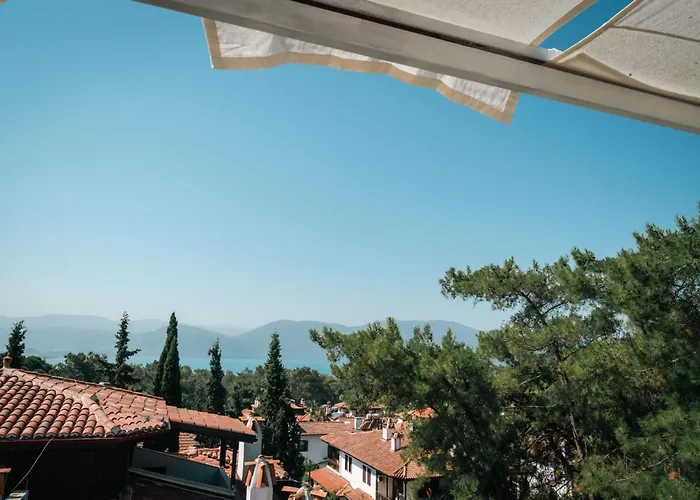 Totelya Проживание в семье