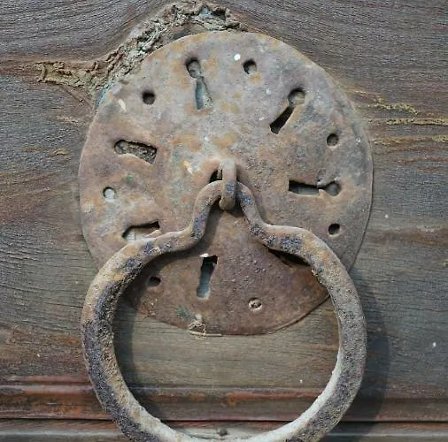 Totelya Акьяка