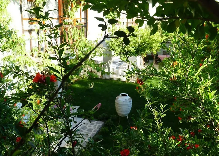 Totelya Alloggio in famiglia *