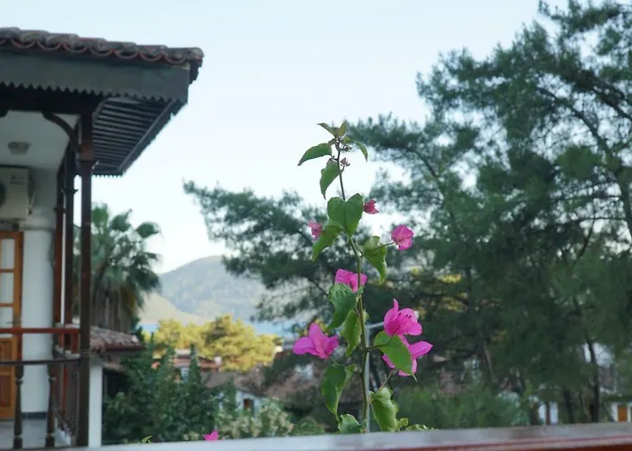 Totelya Проживание в семье *