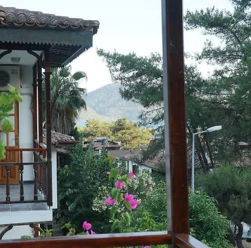 Проживание в семье Totelya