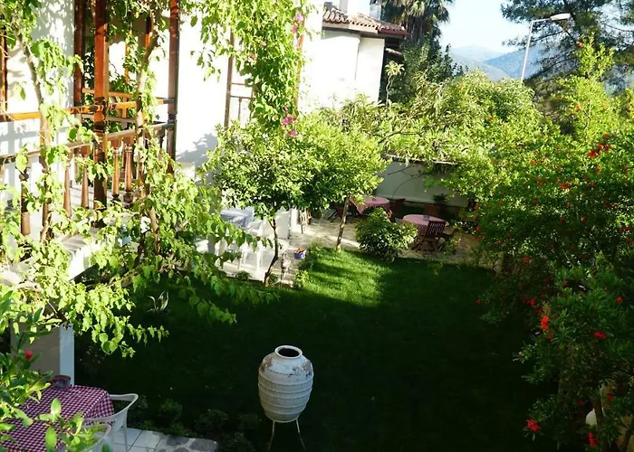 Totelya Проживание в семье