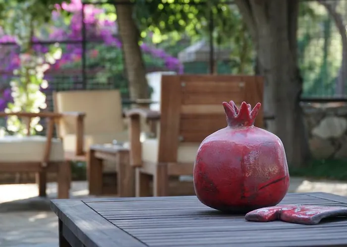 Totelya Akyaka (Mugla)